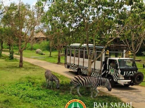 Bali Safari & Marine Park